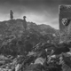 ‘Wasteland With Cheetahs and Children’